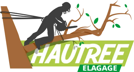 Logo Hautree Élagage